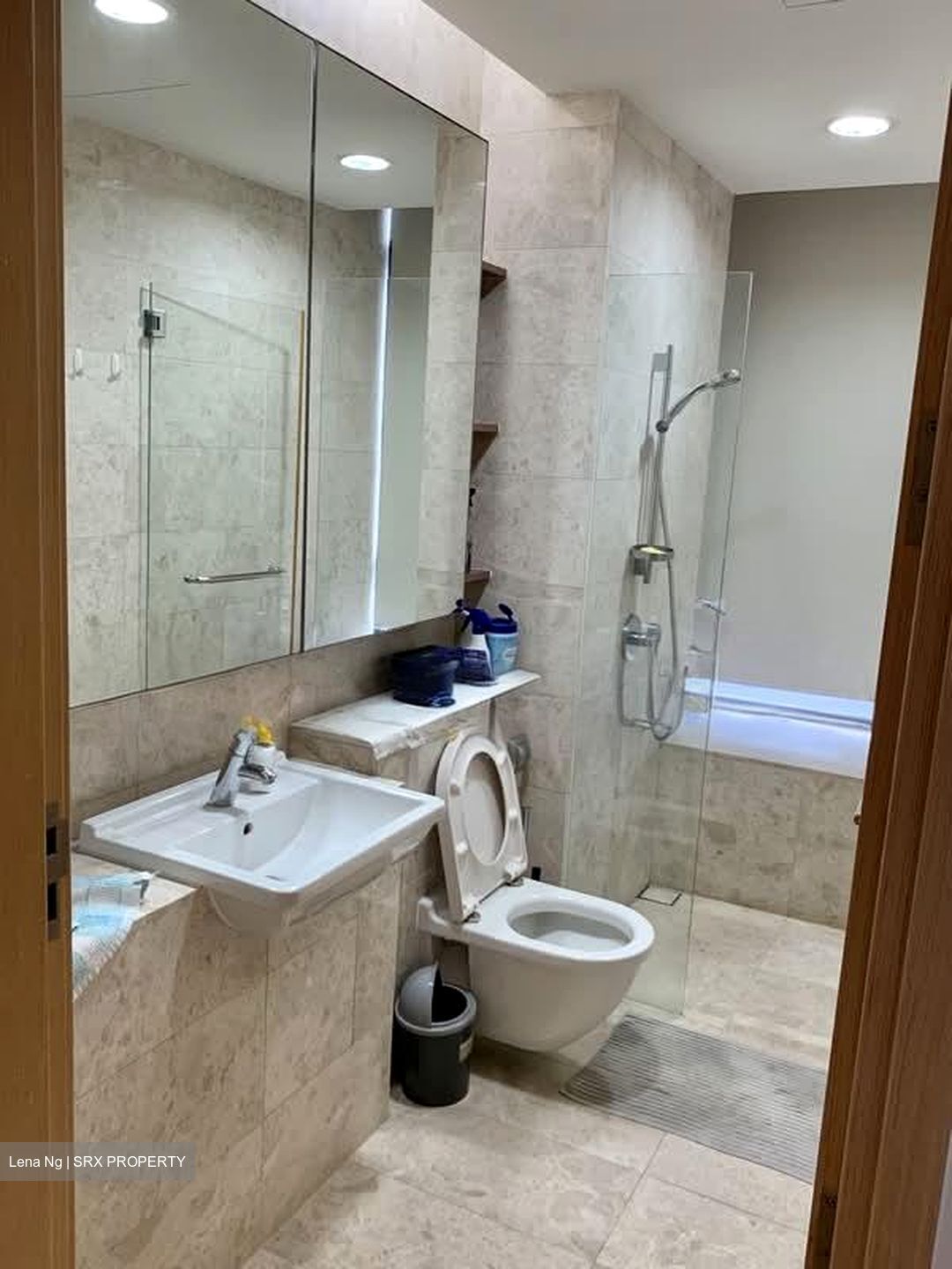 Thomson Euro-asia (D11), Condominium #591401431
